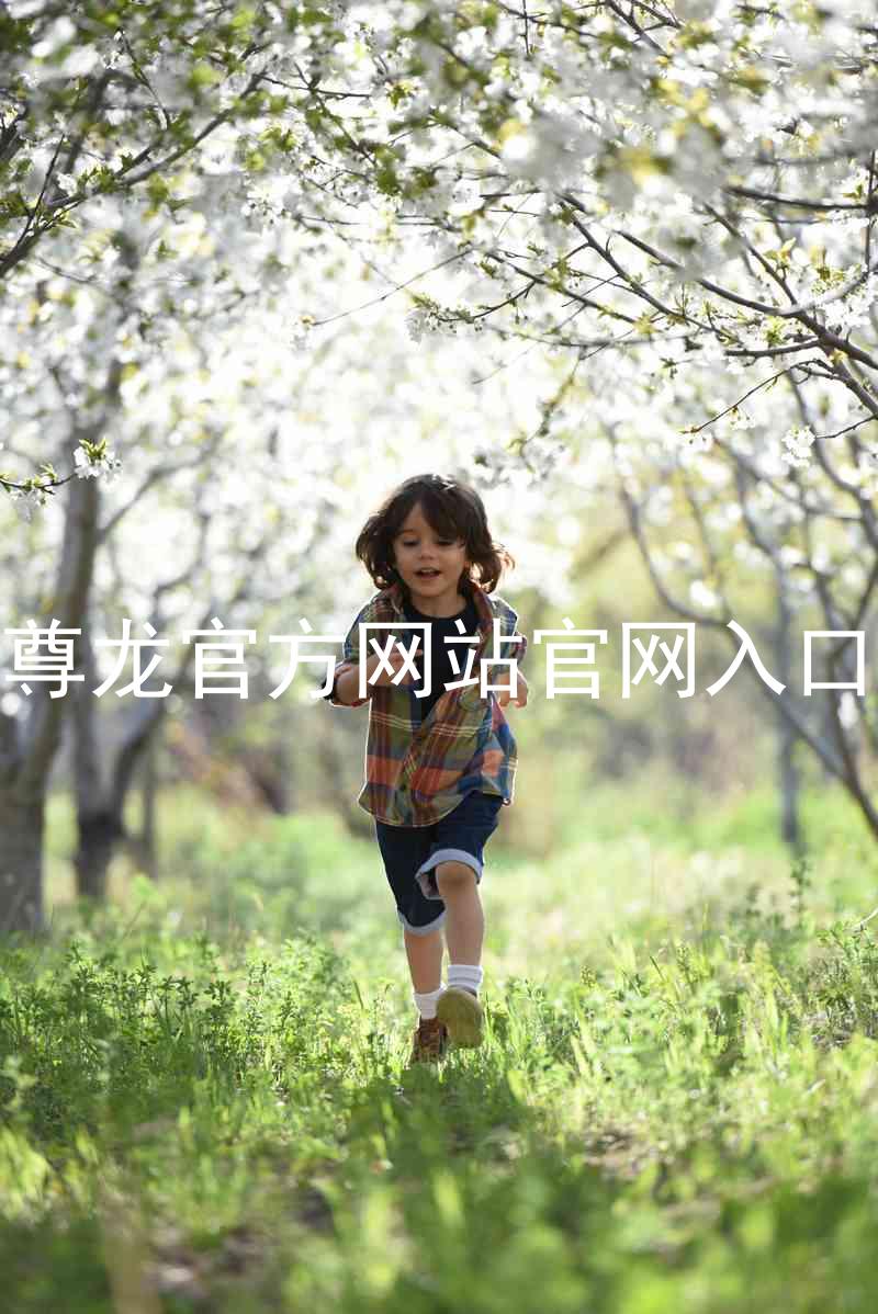 尊龙官方网站官网入口