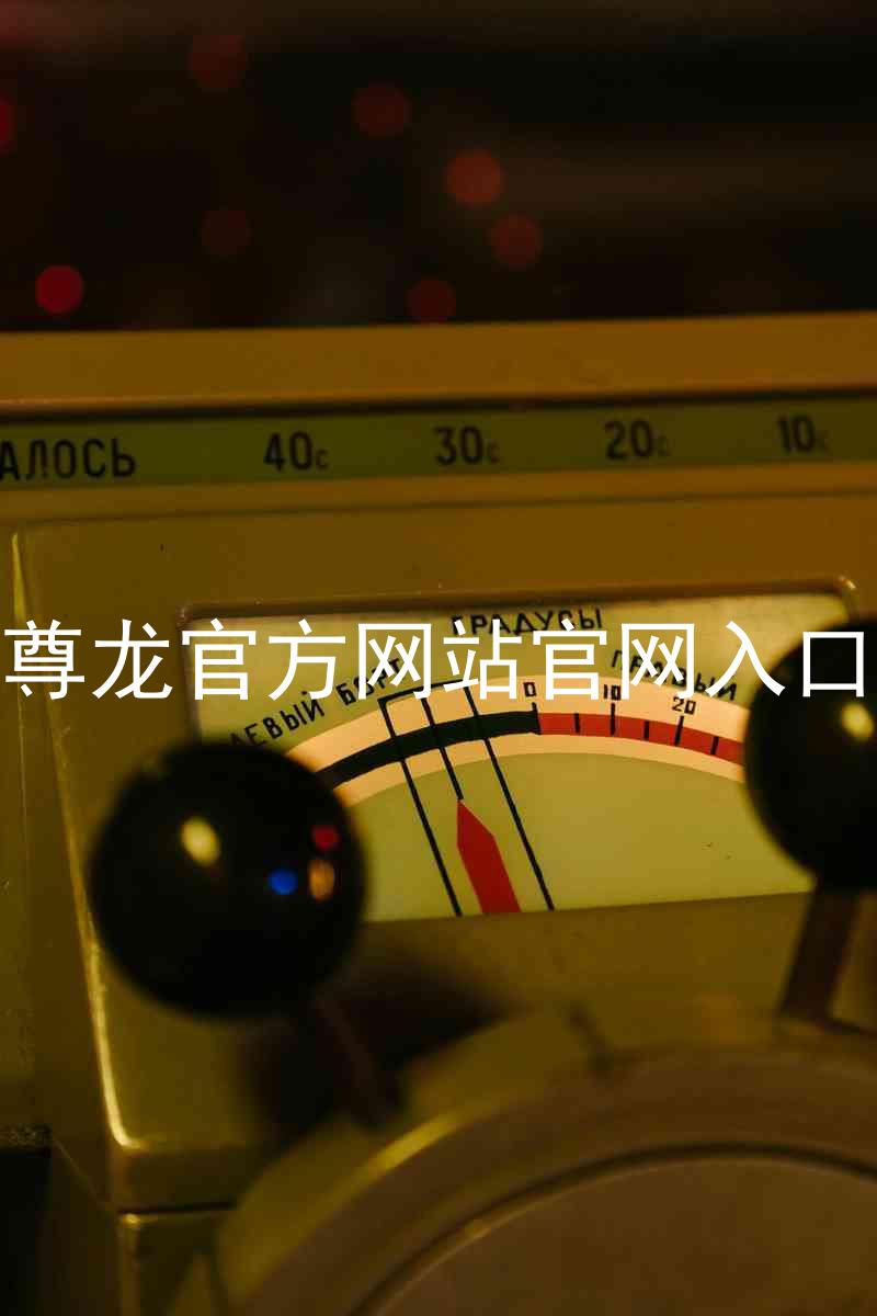 尊龙官方网站官网入口
