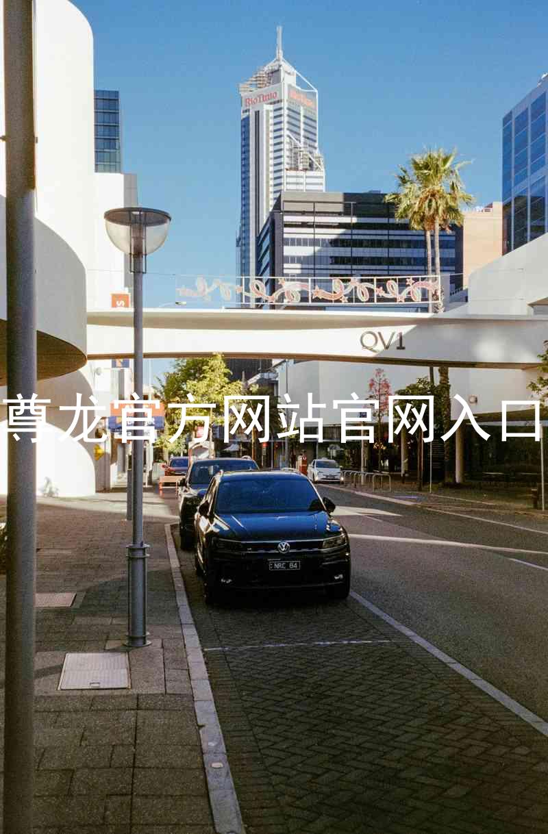 尊龙官方网站官网入口